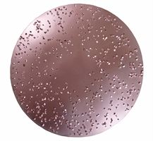 Disc abraziv HMT, D230mm, fin, nr. 605 pentru ROKAMAT TITANO/HERON, Z0605